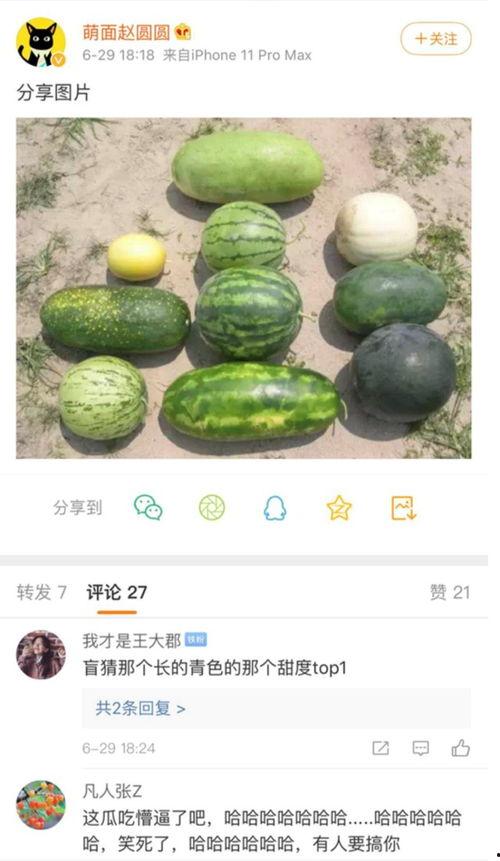 最新新瓜爆料,神秘事件背后真相揭晓